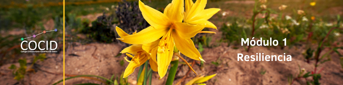 Módulo 1. Inteligencia emocional