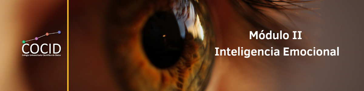 Módulo II. Inteligencia Emocional