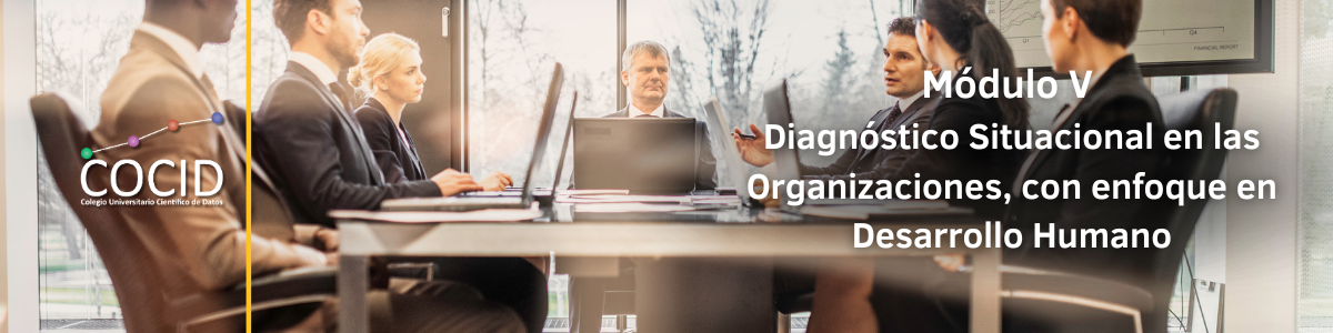 Módulo V - Diagnóstico Situacional en las Organizaciones, con enfoque en Desarrollo Humano